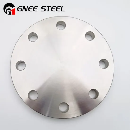 Duplex Steel Dig Muag Flanges