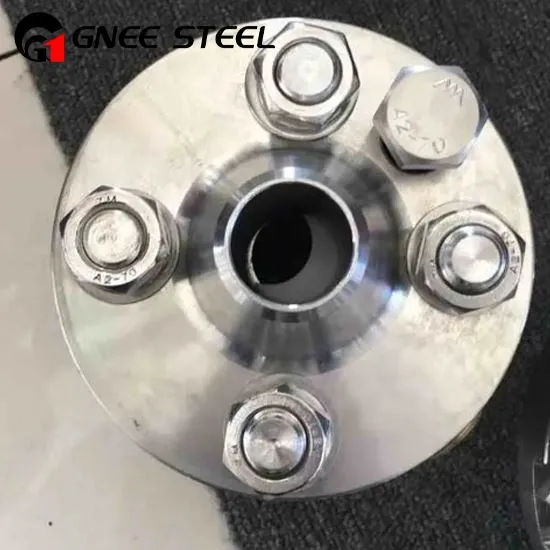 Duplex Steel Orifice Flanges