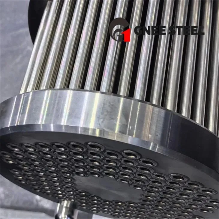 TAGOREL 600 THAUM Cua Sov Txiaj Ntsig The